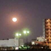 ヒメ日記 2025/02/15 08:38 投稿 岡田 おふくろ