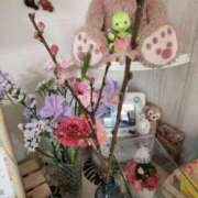 ヒメ日記 2025/02/27 07:55 投稿 岡田 おふくろ