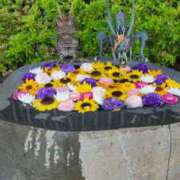 ヒメ日記 2025/05/15 09:22 投稿 岡田 おふくろ