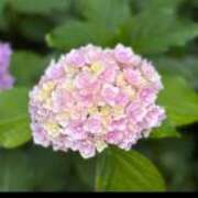 ヒメ日記 2025/06/13 09:01 投稿 岡田 おふくろ