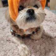 ヒメ日記 2025/11/01 09:21 投稿 岡田 おふくろ