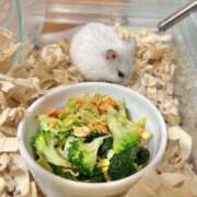 ヒメ日記 2025/03/26 12:04 投稿 お宝発見❗️ グッドスマイル