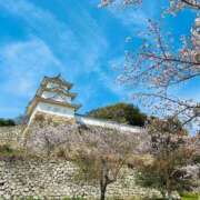 ヒメ日記 2025/04/10 10:00 投稿 お宝発見❗️ グッドスマイル