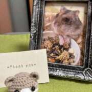 ヒメ日記 2025/05/01 20:16 投稿 お宝発見❗️ グッドスマイル