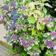 ヒメ日記 2025/06/11 11:30 投稿 お宝発見❗️ グッドスマイル