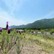 ヒメ日記 2025/06/16 15:15 投稿 お宝発見❗️ グッドスマイル