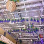 ヒメ日記 2025/07/24 18:15 投稿 お宝発見❗️ グッドスマイル