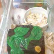 ヒメ日記 2025/08/18 22:01 投稿 お宝発見❗️ グッドスマイル