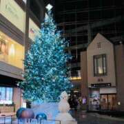 ヒメ日記 2025/11/17 19:00 投稿 お宝発見❗️ グッドスマイル