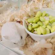 ヒメ日記 2026/01/05 08:30 投稿 お宝発見❗️ グッドスマイル