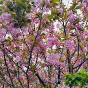 ヒメ日記 2026/04/16 18:00 投稿 お宝発見❗️ グッドスマイル