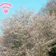 ヒメ日記 2025/04/11 16:14 投稿 ゆい アート姫