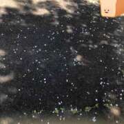 ヒメ日記 2025/04/12 10:09 投稿 ゆい アート姫