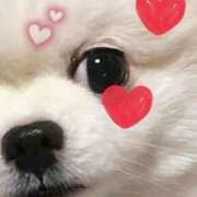 ヒメ日記 2025/07/22 18:35 投稿 ゆい アート姫