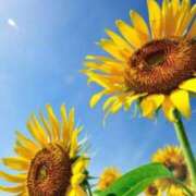 ヒメ日記 2025/07/14 10:02 投稿 つばさ 逢って30秒で即尺