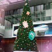 ヒメ日記 2025/11/05 15:14 投稿 つばさ 逢って30秒で即尺