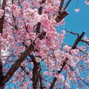 ヒメ日記 2026/03/12 17:30 投稿 つばさ 逢って30秒で即尺