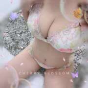 ヒメ日記 2025/04/18 10:21 投稿 エレナ ごほうびSPA名古屋店