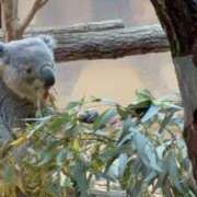 ヒメ日記 2025/05/24 08:48 投稿 エレナ ごほうびSPA名古屋店