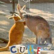 ヒメ日記 2025/07/02 23:21 投稿 エレナ ごほうびSPA名古屋店