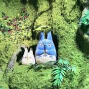 ヒメ日記 2025/07/10 00:04 投稿 エレナ ごほうびSPA名古屋店