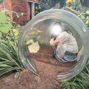 ヒメ日記 2025/07/15 13:58 投稿 エレナ ごほうびSPA名古屋店