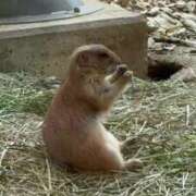 ヒメ日記 2025/07/29 23:18 投稿 エレナ ごほうびSPA名古屋店