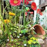 ヒメ日記 2025/08/24 10:58 投稿 エレナ ごほうびSPA名古屋店