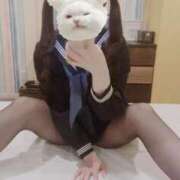 ヒメ日記 2025/02/02 18:23 投稿 いぬ とある風俗店♡やりすぎさーくる新宿大久保店♡で色んな無料オプションしてみました