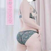 ヒメ日記 2025/04/01 15:27 投稿 御神本しおり アロマージュ大宮