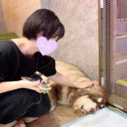 ヒメ日記 2025/07/03 20:47 投稿 御神本しおり アロマージュ大宮