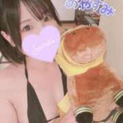 ヒメ日記 2025/11/15 23:37 投稿 御神本しおり アロマージュ大宮