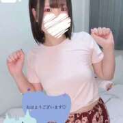 ヒメ日記 2026/01/29 07:47 投稿 御神本しおり アロマージュ大宮