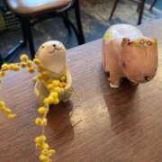 ヒメ日記 2025/04/12 23:26 投稿 小川みづき＠類まれなる美ケツ アナラードライ