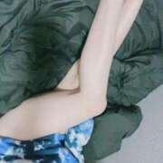 ヒメ日記 2025/11/15 16:00 投稿 ヒビキ ルパン