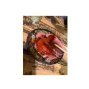 ヒメ日記 2025/03/15 12:11 投稿 あかり 奥様さくら日本橋店