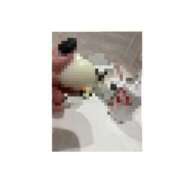 ヒメ日記 2025/03/21 19:46 投稿 あかり club さくら日本橋店