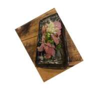 ヒメ日記 2025/04/01 22:56 投稿 あかり club さくら日本橋店