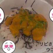 ヒメ日記 2025/09/23 08:51 投稿 あかり club さくら日本橋店