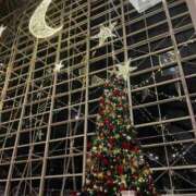 ヒメ日記 2024/12/24 18:49 投稿 あいる 湯房 湯島御殿