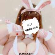 ちあき 今日は　うさちゃんだけ！！ 栃木宇都宮ちゃんこ