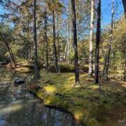 ヒメ日記 2025/01/05 21:02 投稿 すみれ 激安ドットコム