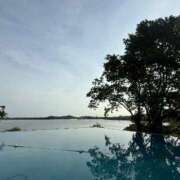 ヒメ日記 2025/05/07 08:20 投稿 すみれ 激安ドットコム