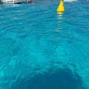 ヒメ日記 2025/08/26 17:49 投稿 すみれ 激安ドットコム