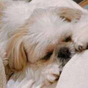 ヒメ日記 2025/09/05 12:24 投稿 すみれ 激安ドットコム