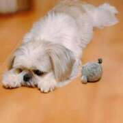 ヒメ日記 2025/09/29 08:17 投稿 すみれ 激安ドットコム