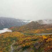 ヒメ日記 2025/10/13 09:01 投稿 すみれ 激安ドットコム