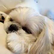 ヒメ日記 2025/10/27 14:10 投稿 すみれ 激安ドットコム