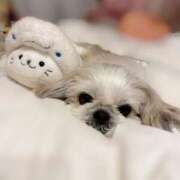 ヒメ日記 2026/02/25 18:05 投稿 すみれ 激安ドットコム