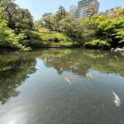 ヒメ日記 2026/04/11 16:27 投稿 すみれ 激安ドットコム